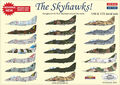 armycast-acd48035-the-skyhawks-a-4-skyhawk-in-the-world-expected-may-2024-xa3-202178_0