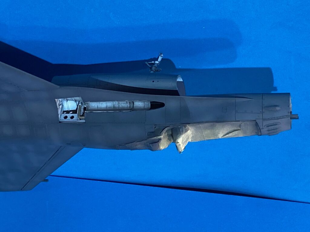 TAM_43