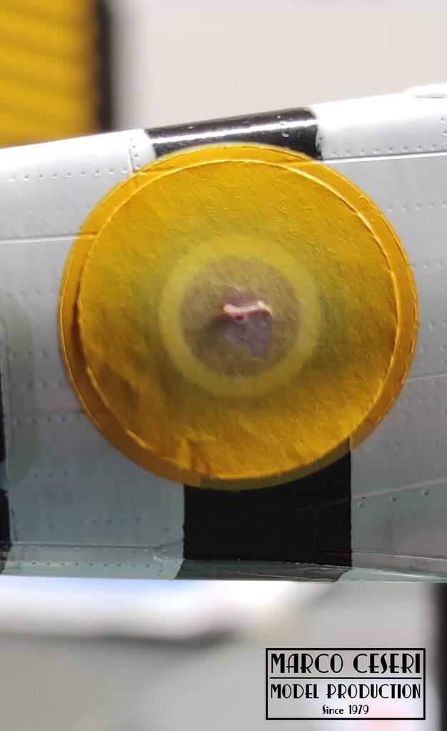 160-Giallo coccarde 5