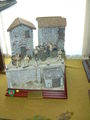 DSCN8297