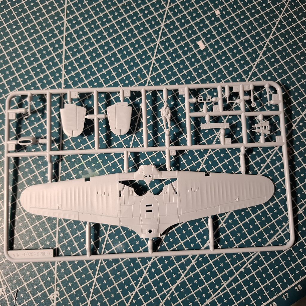 004 stampate 2.jpg
