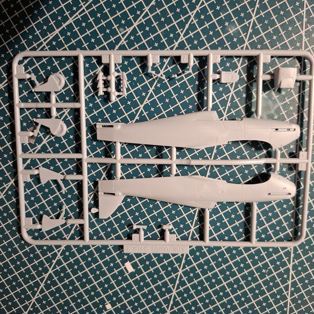 005 stampate 3.jpg