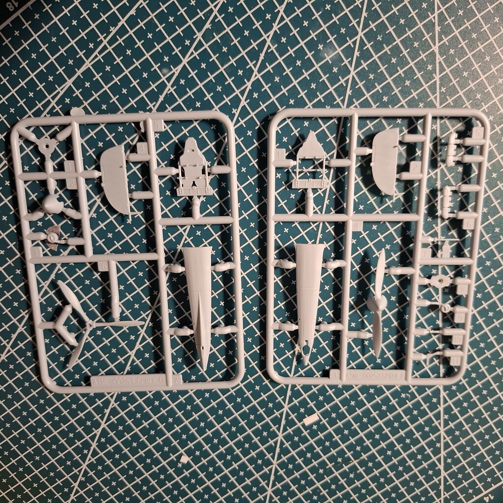 006 stampate  4.jpg