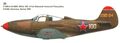 P-39 N_00