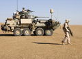 LAV25electronic_2