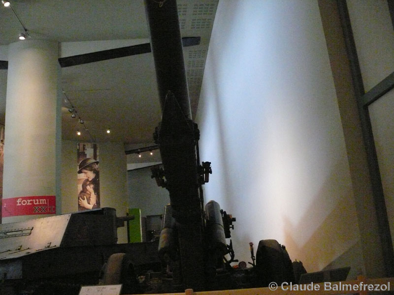 P1060757.jpg