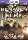 Remagen elbe ant