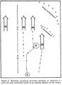 Figura 1