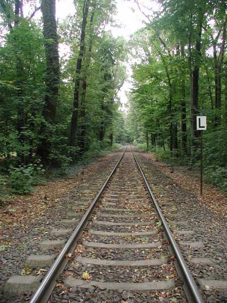 HGK-Trasse-Kölner-Stadtwald-002