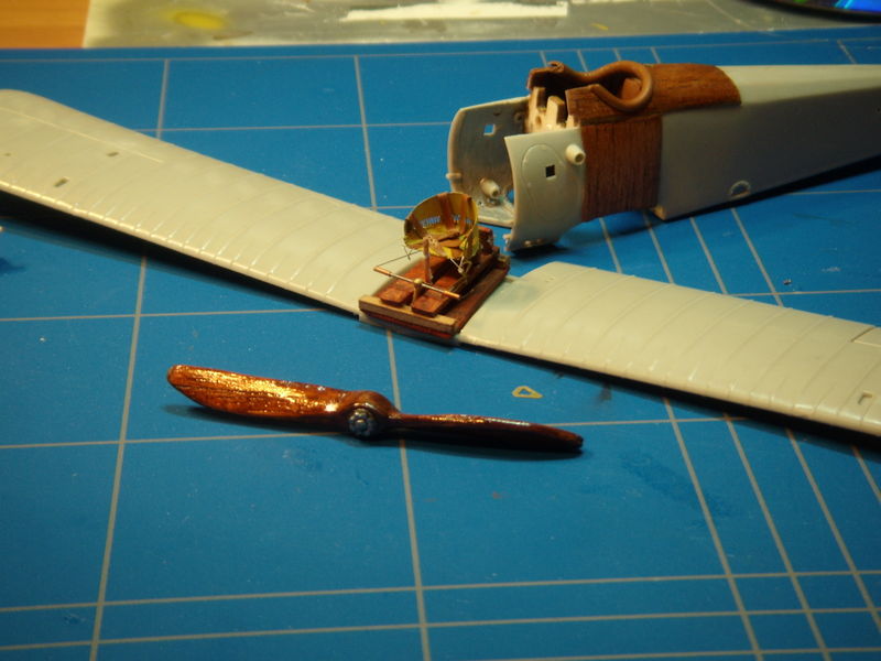 wip dimostrativo