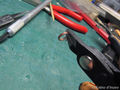 IMG_8800.jpg