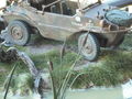 DSCF0039
