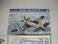 Campagna_Model_Discount_Sea_Fury