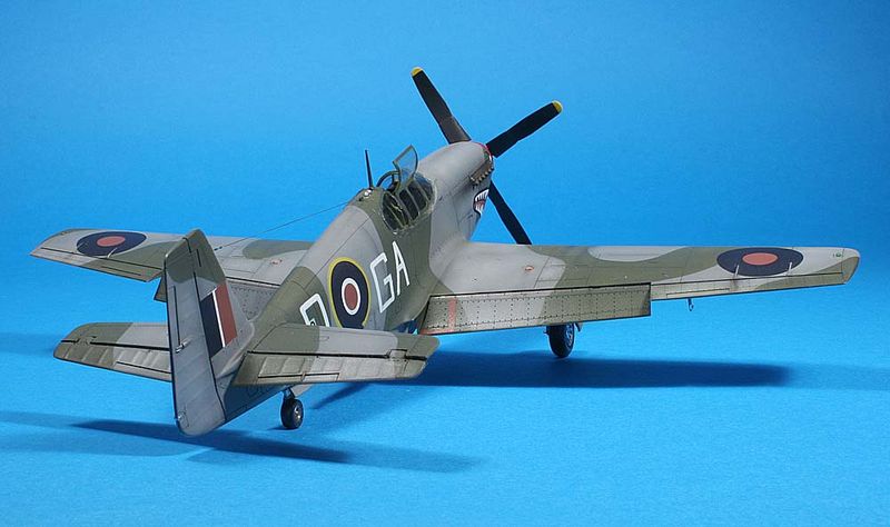 Mustang III rearside