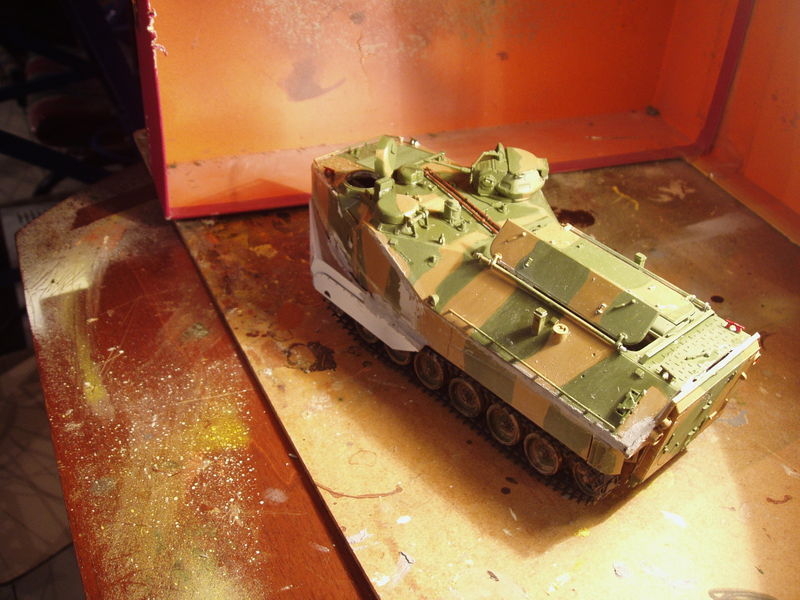 Posa1