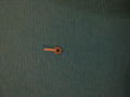 MG CLIP