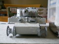 Tiger Final Version