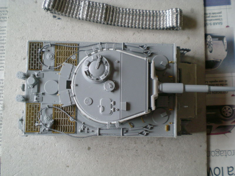 Tiger final version (2)