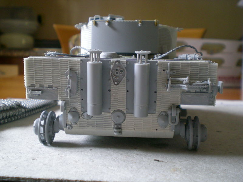 Tiger final version (3)