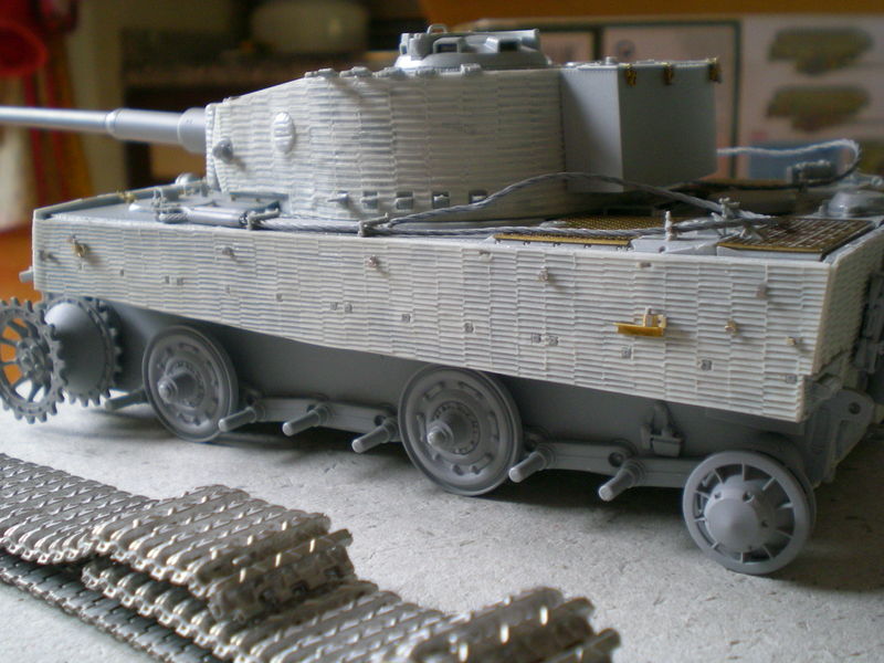 Tiger final version (4)