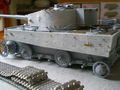 Tiger final version (4)