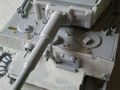 Tiger final version (5)