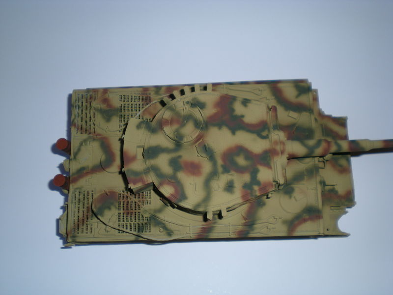 Tiger final (4)