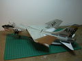DSCN0481