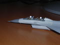 DSCN3134