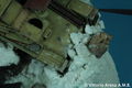 flakpanzer38t_26_1_10 13.JPG