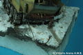 flakpanzer38t_26_1_10 16.JPG