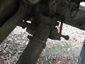Obice 149-13 carrello elastico-MIA (10).jpg