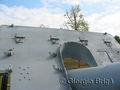 IMG_7623.jpg
