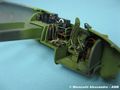 Mosquito_21