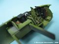 Mosquito_22