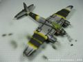 Mosquito_33