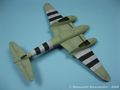 Mosquito_38