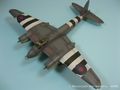 Mosquito_39