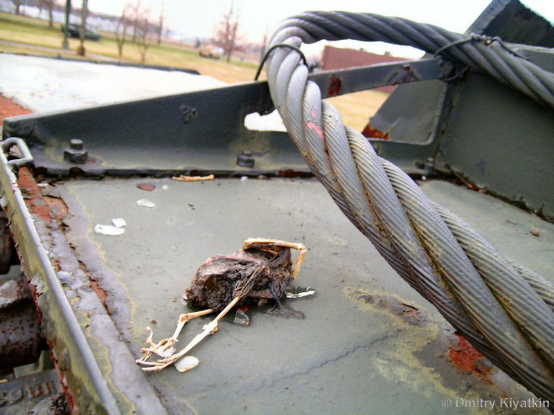 106.jpg