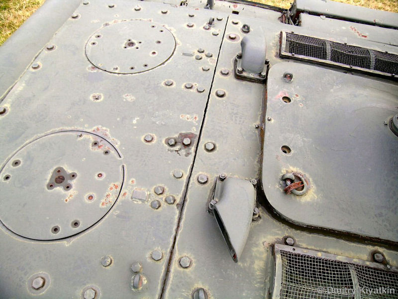 113.jpg