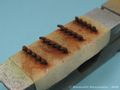 Mosquito_45