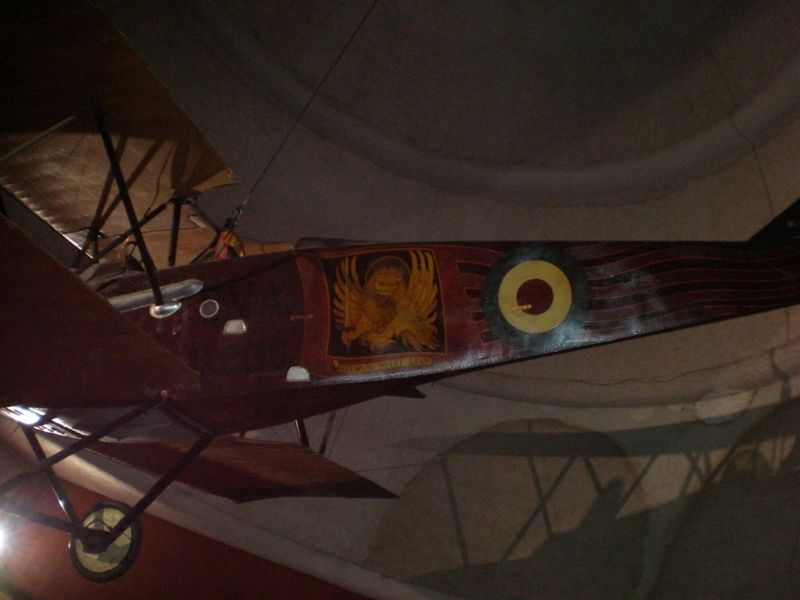P5160040