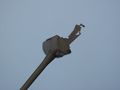 0-040.jpg