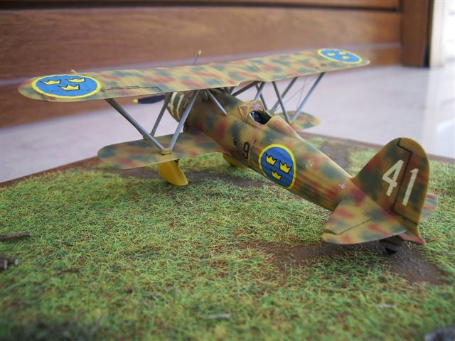IMGP9550