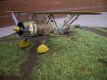 IMGP9551