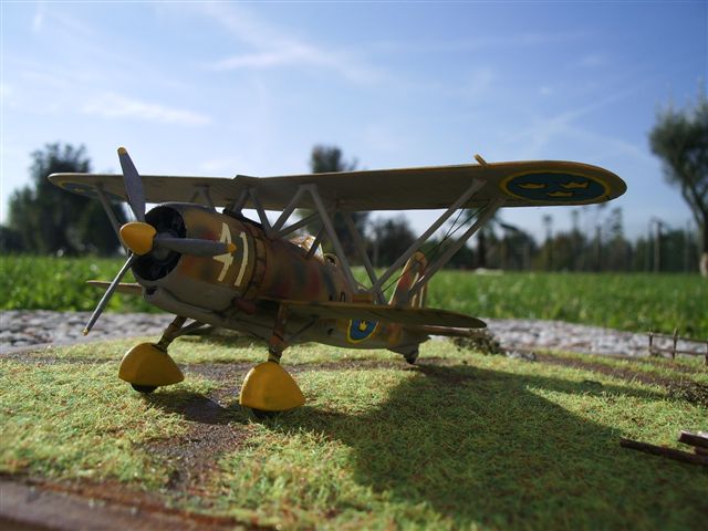 IMGP9547