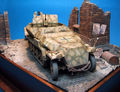 Album: Sdkfz 251/17 + Sd. Anh - Diorama