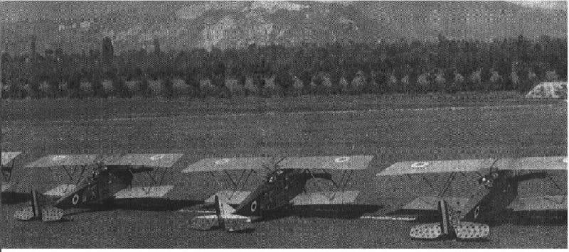 sva 1
