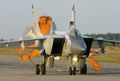 MiG 31 - In azione