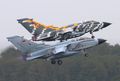 215.jpg
